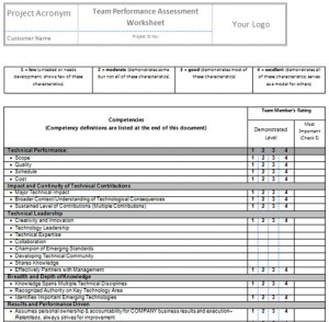 performance assessment template