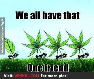 Related Pictures video marijuana vs crystal meth funny but true video