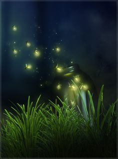 feufolets-fireflies More