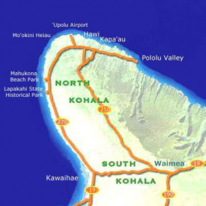 ... hippocrates kos green power hippocrates juicer gpt e1305 hippocrates