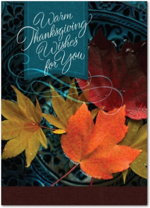 Wishing You Warmth - Happy Thanksgiving Greeting Cards - Hallmark ...