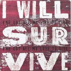Will Survive / Gloria Gaynor More