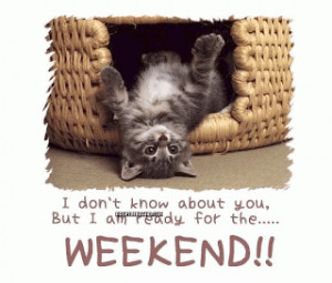 Cute Animals with Funny Quotes