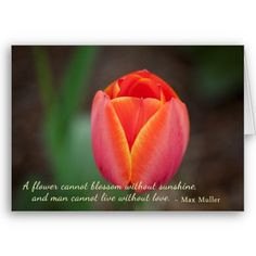 ... card more greeting card quotes greeting love quotes tulip quotes