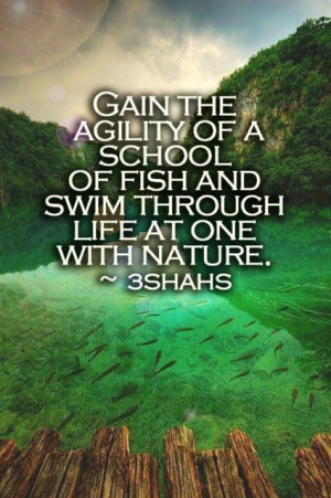 Gain The Agility Of A School Of Fish And Swim Through Life At One With ...
