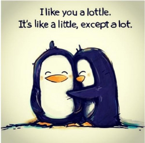 like you a lottle, it's like a little, except a lot
