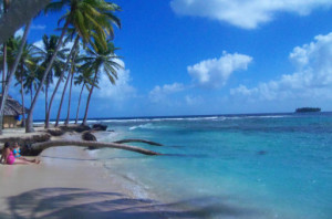 kuna woman mujer cangrejo crab san blas panama jpg