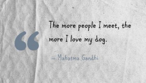 the more people i meet the more i love my dog Dog Quotes Love