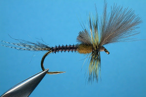 Rene Harrop's CDC Last Chance Cripple Green Drake: Fly Ties, Drake Fly ...