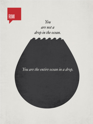 ... not a drop in the ocean. You are the entire ocean in a drop. – Rumi