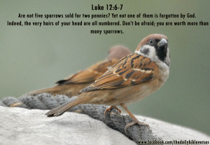 Are not five sparrows sold for two pennies? Yet not one of them is ...