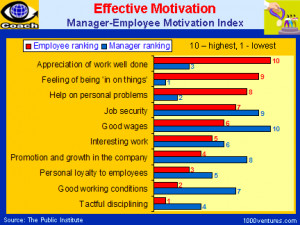 EFFECTIVE MOTIVATION as perceived by Managers and Employees