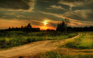 Dirt road wallpapers and images