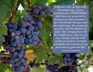 Gratitude bestows reverence, allowing us to encounter