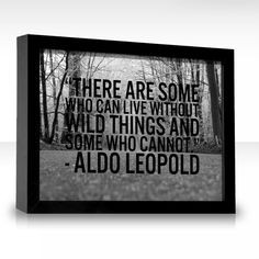 ALDO LEOPOLD, HERO