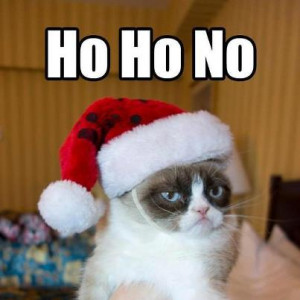 grumpy cat christmas santa grumpy cat on christmas christmas grumpy ...