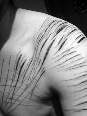 Funny Quotes Contact Dmca