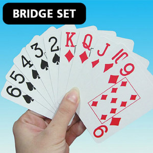 Playing Bridge Card Game