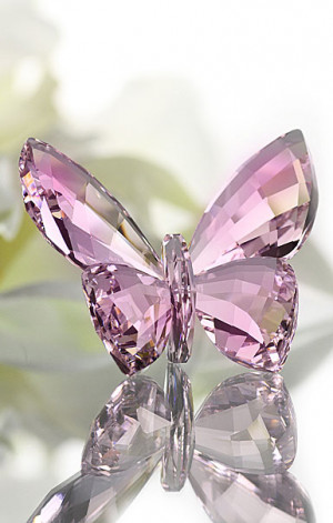Swarovski Celebrations Rosaline Butterfly
