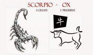 The Scorpio Ox Personality Traits : Western and Chinese Zodiac ...