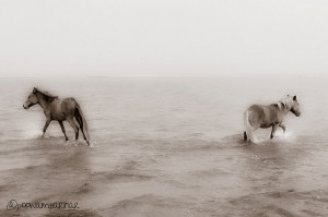 ... condition for a lively and dynamic world as we see today. ~ Jinato Hu