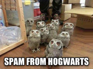 funny-picture-spam-hogwarts-owl