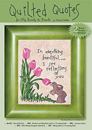 Quilted Quotes Machine Embroidery CD