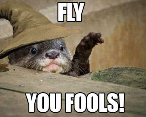 Pictures For You To Steal: V 78