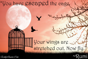 ... You have escaped the cage. Your wings are stretched out. Now fly