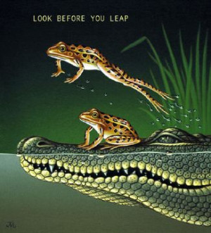 look before you leap american proverb look twice before your leap ...