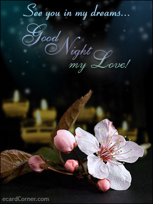 Romantic good night flower