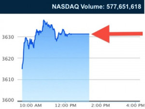 Nasdaq NASDAQ index flatlines after the exchange halts trading ...