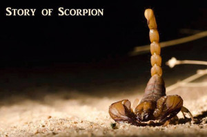 STORY — THE SCORPION | Inspirational Stories