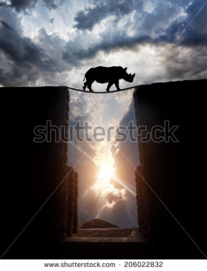 Rhino silhouette crossing over the abyss by the rope bridge at sunset ...