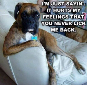 If dogs could talk. Haha!