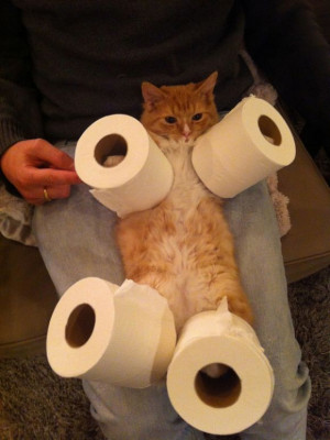 Toilet Paper Holder | Cutest Paw