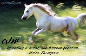 horse quotes and sayings horse quotes amp cowgirl quotes mustang horse ...