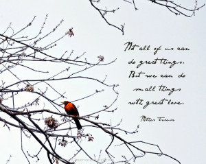 Mixed Birds Quotes And Sayings Home About