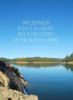 wilderness is not a luxury but a necessity of the human spirit. Guys ...