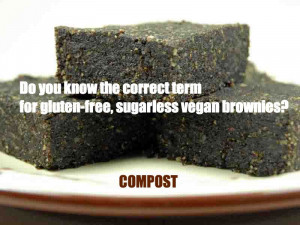 ... you know the correct term for gluten-free, sugarless vegan brownies