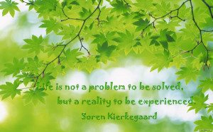 ... Life is not a problem to be solved, but a reality to be experienced