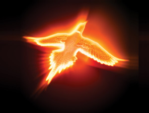 phoenix-rising.jpg
