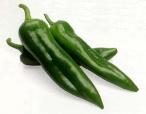 long slender green chilli, 6-8 cm long, pointed at one end. It has a ...