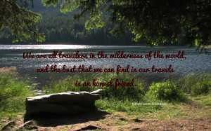 We are all travelers in the wilderness... quote wallpaper