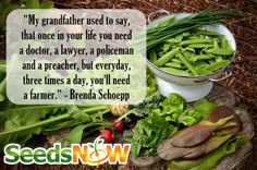 Gardening Quotes and Memes