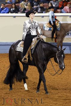 Certain Vino! Amazing western pleasure/western riding horse More