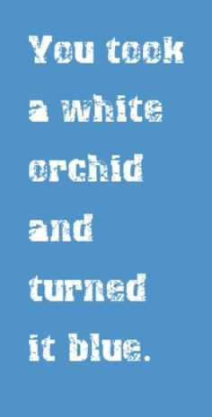 Jack White / White Stripes