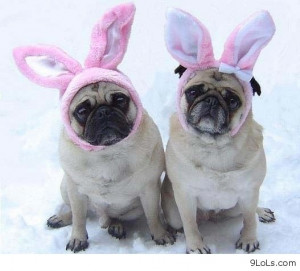 Funny Easter Awesome