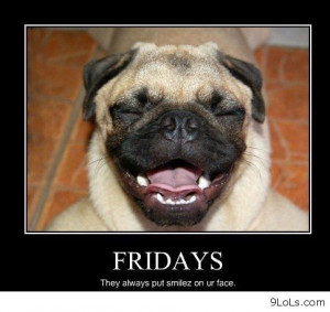 ... , funny pictures, funny quotes, funny summer 2013, humor daily quotes