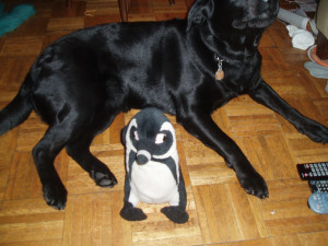 Funny Quotes Contact Us DMCA Notice